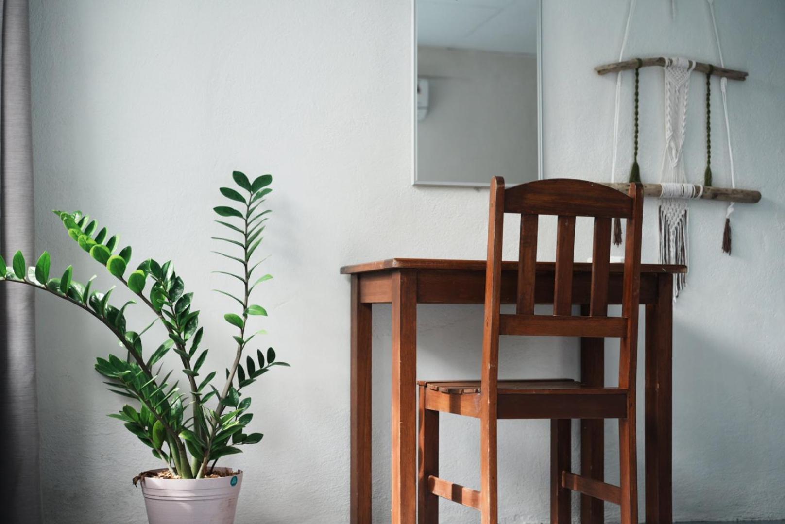 Rooms & Pool Macaws Uvita Esterno foto