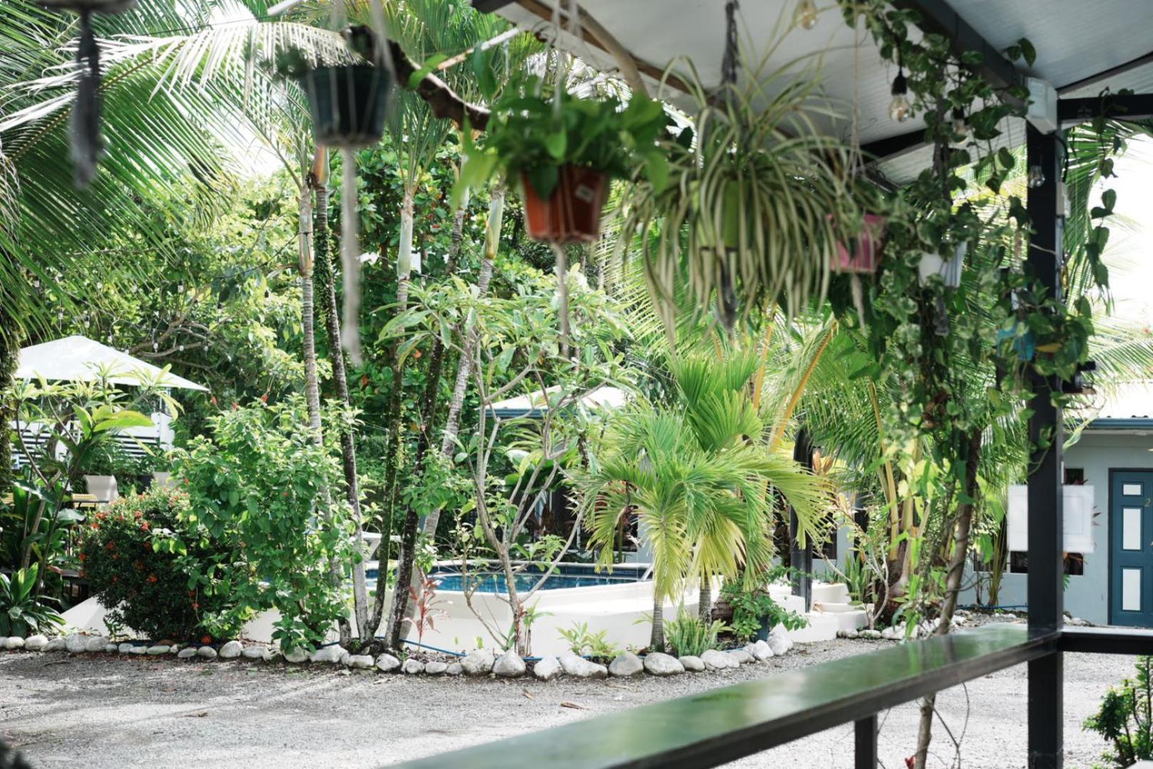 Rooms & Pool Macaws Uvita Esterno foto
